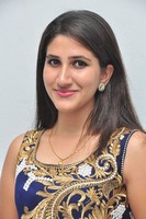 Manisha Gallery
